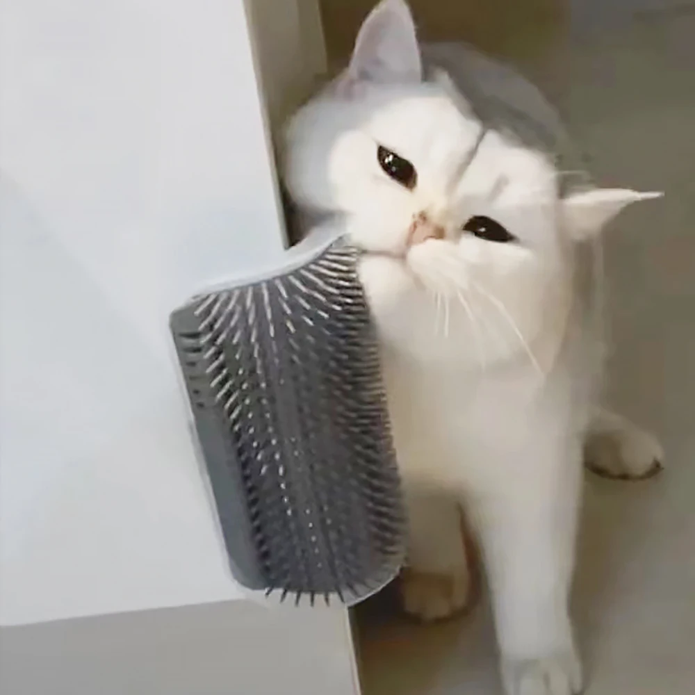 Best-selling Item Massager for - Hair Care Good Hair บทวิจารณ์และราคา